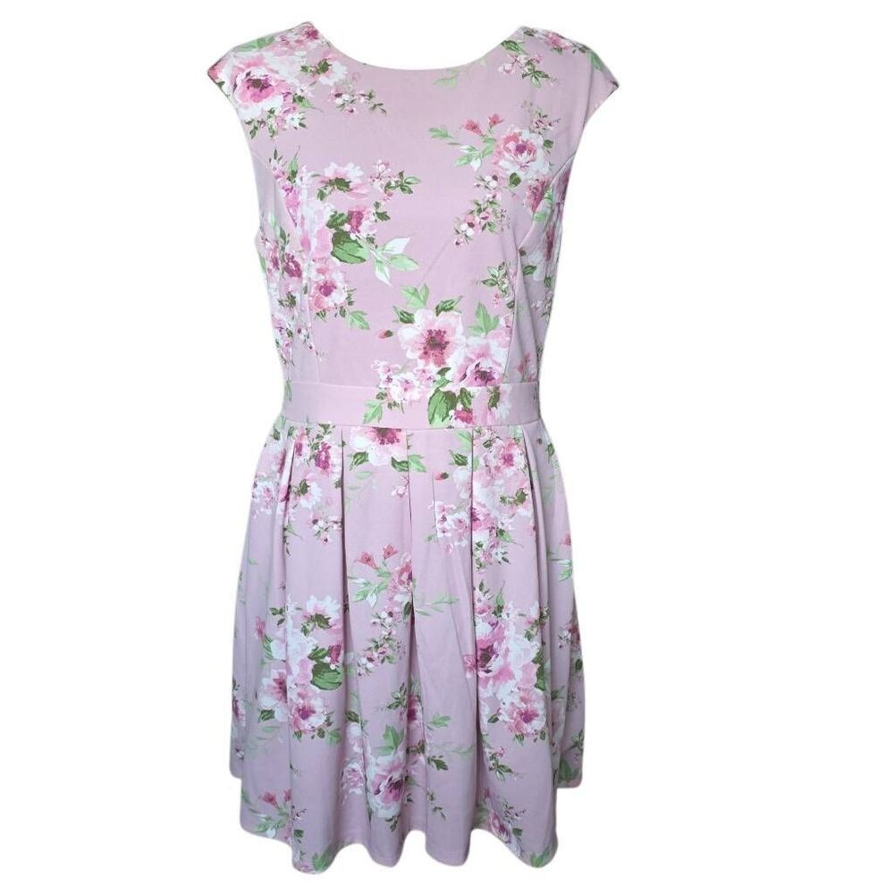 Emerald Sundae Junior’s Size XL Pink Floral Pleated A-Line Dress